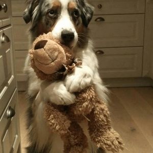 Meet your Posher, Sean